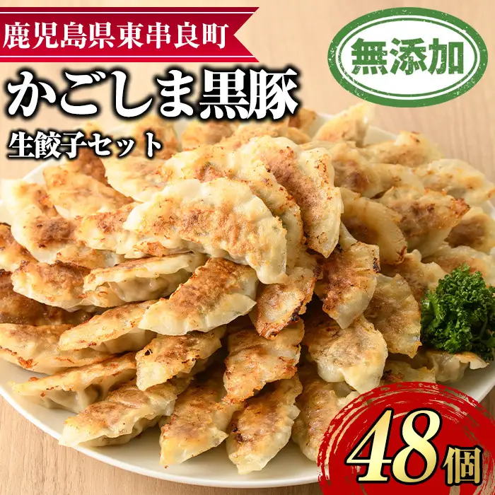 鹿児島黒豚 餃子 48個 鹿児島ますや 0125122a