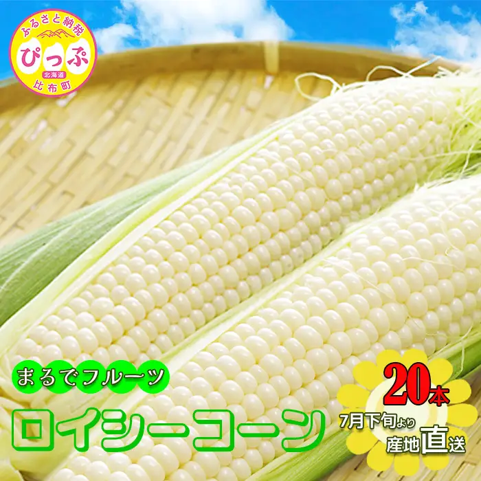 【2026年7月下旬頃発送】「ロイシーコーン」20本 約4kg【たかだ畑】とうもろこし スイートコーン 白い 野菜 産地直送 とうきび BBQ バーベキュー キャンプ 甘い 北海道 比布町 ぴっぷ 1018-002