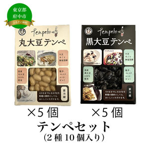 テンペセット（2種10個入り）