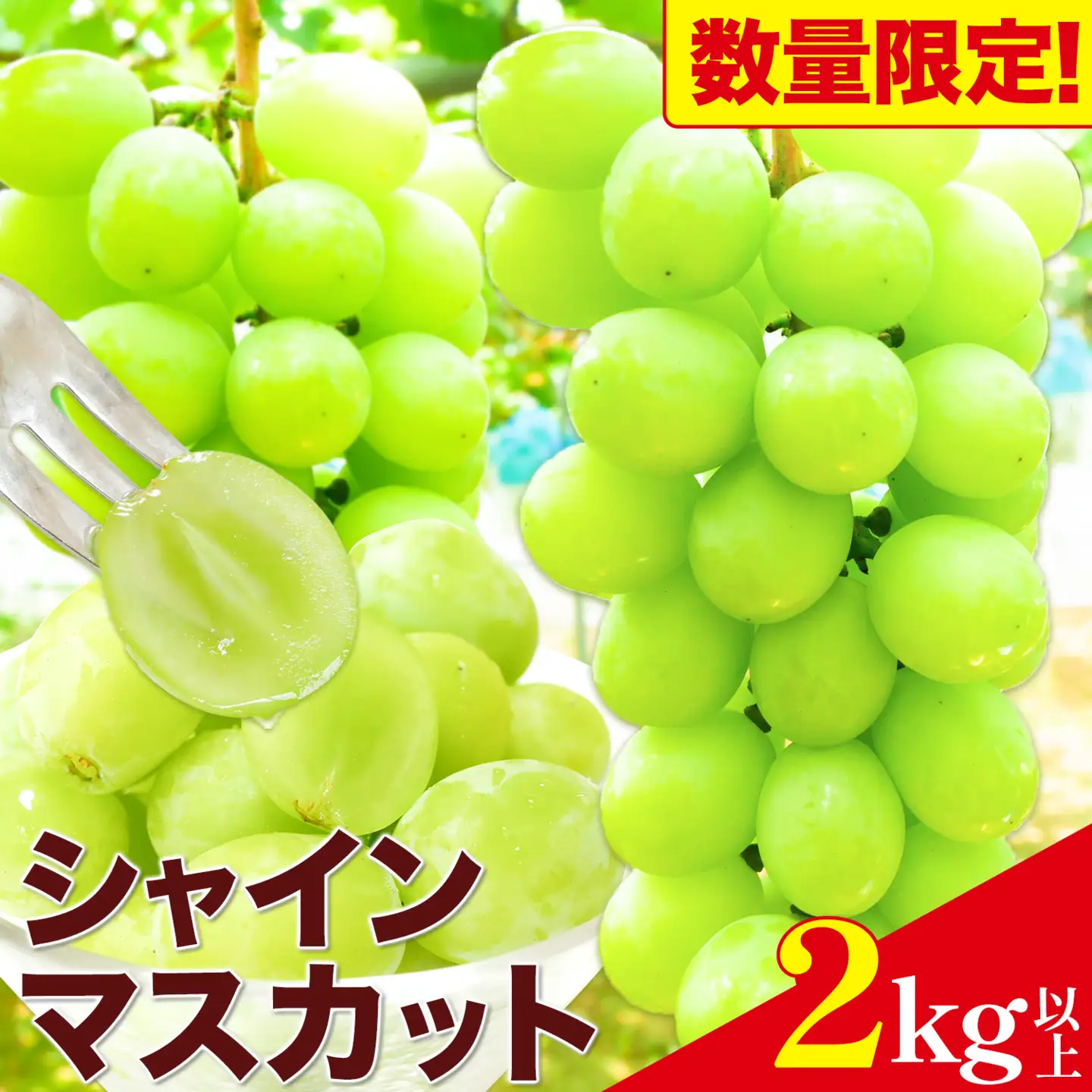 【数量限定】シャインマスカット 2kg以上 3房以上 先行予約 数量限定 直鞍農業協同組合 営農センター 《8月中旬-9月中旬頃出荷》 シャインマスカット マスカット 果物 フルーツ 送料無料