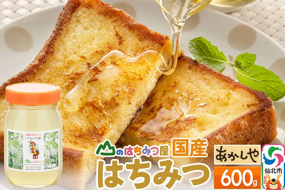 国産 はちみつ アカシヤ 600g 山のはちみつ屋