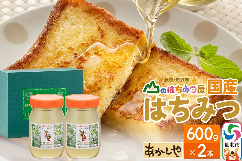 国産 はちみつ アカシヤ 600g 2本セット 山のはちみつ屋
