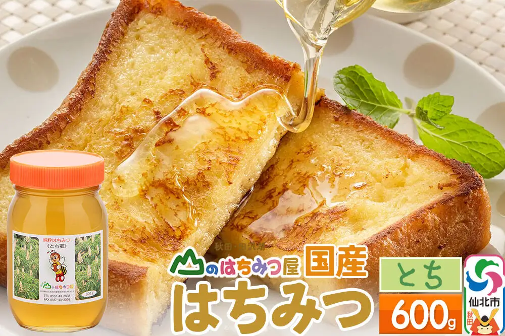 国産 はちみつ トチ 600g 山のはちみつ屋