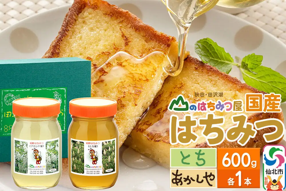 国産 はちみつ トチ・アカシヤ 600g セット 山のはちみつ屋