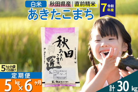 【白米】＜令和7年産＞ 《定期便6ヶ月》秋田県産 あきたこまち 5kg (5kg×1袋)×6回 5キロ お米 匠 