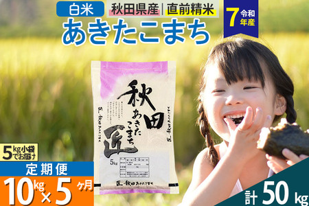 【白米】＜令和7年産＞ 《定期便5ヶ月》秋田県産 あきたこまち 10kg (5kg×2袋)×5回 10キロ お米 匠 