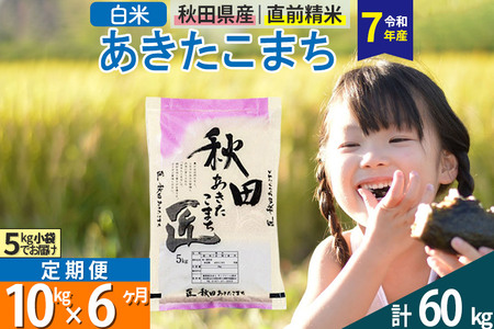 【白米】＜令和7年産＞ 《定期便6ヶ月》秋田県産 あきたこまち 10kg (5kg×2袋)×6回 10キロ お米 匠 