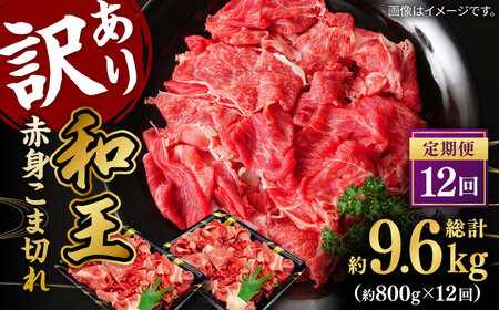 【全12回定期便】【訳あり】 和王 赤身 こま切れ 800g【株式会社ワンエイト】 コマ切れ くまもと黒毛和牛 和牛こま切れ 小間切れ [ZDA005]