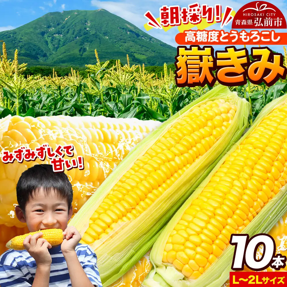 【26年7月～発送】とうもろこし 朝採り 嶽きみ（だけきみ） 10本 L～2Lサイズ 冷蔵 青森県 弘前市