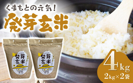 〈令和7年度産米〉 【金賞受賞米使用】くまもとの元気！発芽玄米 2kg×2袋【株式会社 れんげ・カンパニー】発芽玄米 有機栽培 真空パック 熊本 令和7年産 [ZAX003]
