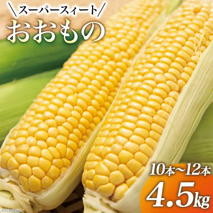 【期間限定発送】 とうもろこし スイートコーン 『おおもの』4.5kg (10本～12本) [黒木ふぁーむ 宮崎県 日向市 452060140]