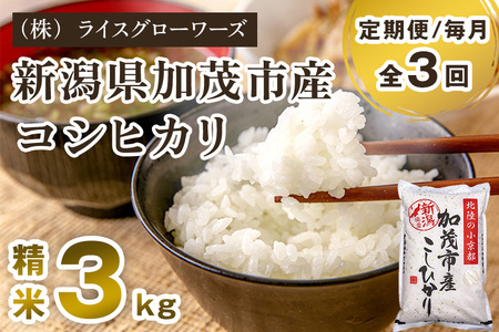 【令和7年産】【定期便3回毎月お届け】新潟県加茂市産コシヒカリ 精米3kg《順次出荷》 白米 （株）ライスグローワーズ