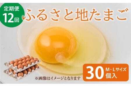 二つ星☆☆卵 【12ヶ月定期便】ふるさと地たまご計360個（30個×12回）1回あたり5個破損補償含む