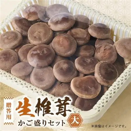 贈答品用椎茸かご盛りセット(大)【配送不可地域：離島】【1201271】