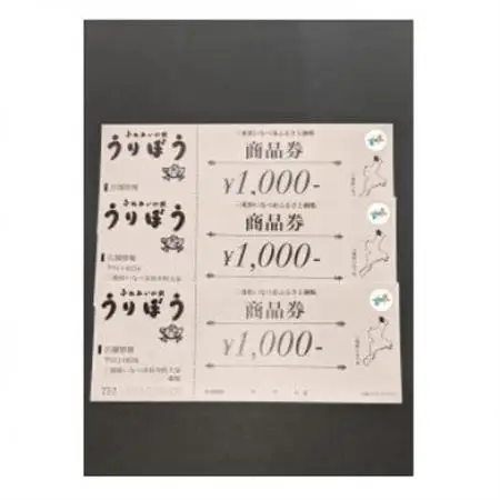うりぼう商品券 3000円分【1271265】