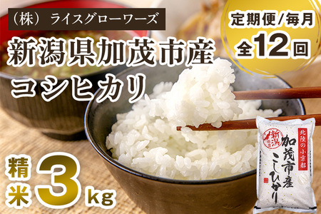 【令和7年産】【定期便12ヶ月毎月お届け】新潟県加茂市産コシヒカリ 精米3kg《順次出荷》白米 （株）ライスグローワーズ