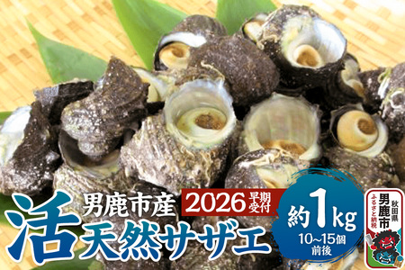 《2026年7月中旬～8月下旬発送》男鹿産天然さざえ 約1kg (約10個～15個) サザエ 栄螺 