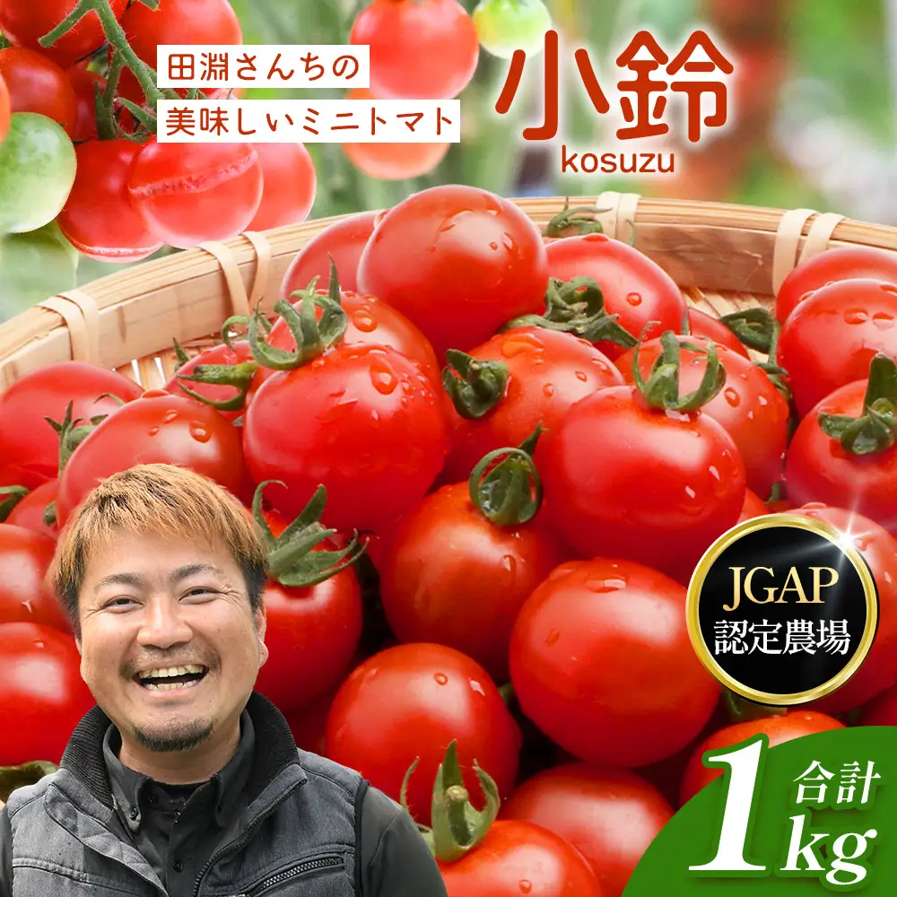 田淵さんちの美味しい ミニトマト 小鈴（約1kg）GP-708｜野菜 トマト ミニトマト 産地直送 ミニトマト 新鮮 トマト 南大隅町産 ミニトマト おいしい ミニトマト