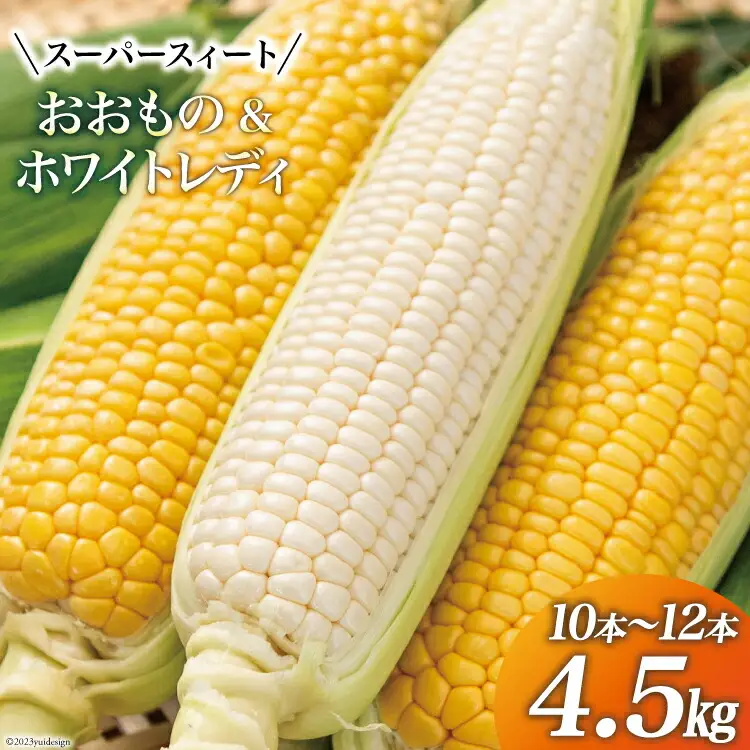 【期間限定発送】 とうもろこし スイートコーン おおもの(黄)・ホワイトレディ(白) 4.5kg (10本～12本) [黒木ふぁーむ 宮崎県 日向市 452060141]