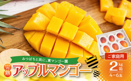 【 2026年 先行予約 】 ≪ ご家庭用 ≫ 東マンゴー園 直送 ！ 完熟 アップルマンゴー 2kg （ 4～6 玉 ） W014-010u 訳あり わけあり 果物 マンゴー