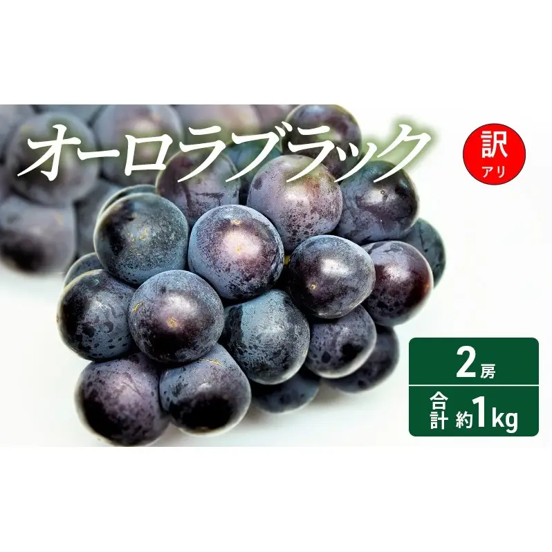 【2026年 先行予約】【訳あり品】オーロラブラック 2房 合計約1kg 常温配送 ぶどう 葡萄 フルーツ 果物 岡山 岡山のぶどう 食後 デザート 産地直送 大粒 爽やか 食べやすい 