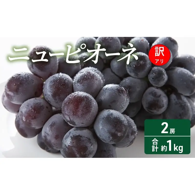  【2026年 先行予約】【訳あり品】 ニューピオーネ 2房 合計約1kg 常温配送 ぶどう 葡萄 フルーツ 果物 岡山 岡山のぶどう 食後 デザート 産地直送 大粒 食べ応え ちょうどよい甘さ 種無し 