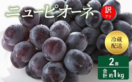 【2026年 先行予約】【訳あり品】 ニューピオーネ 2房 合計約1kg 冷蔵配送 ぶどう 葡萄 フルーツ 果物 岡山 岡山のぶどう 食後 デザート 産地直送 大粒 食べ応え ちょうどよい甘さ 種無し 