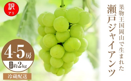 【2026年 先行予約】【訳あり品】瀬戸ジャイアンツ 4～5房 合計約2kg 冷蔵配送 ぶどう 葡萄 フルーツ 果物 岡山 岡山のぶどう 食後 デザート 産地直送 皮ごと 酸味が少ない 爽やか 甘い 