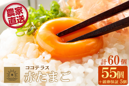 ココテラスの明日（赤たまご）55個 + 5個保証（計60個）【JGAP認証】 農家直送 新鮮 卵 タマゴ 赤卵 玉子 鶏卵 朝食 夕食 夜食 朝ごはん たまご焼き オムレツ 卵ご飯 料理 濃厚 飼料にこだわった 卵かけご飯 米たまご 生卵 大容量 お取り寄せ 愛知県 常滑市