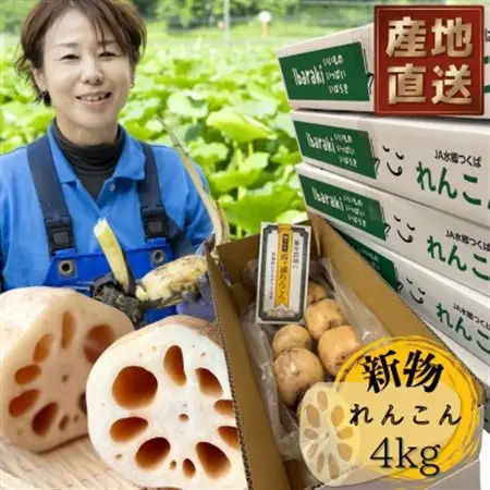 新物!　肉厚でシャキシャキの食感と甘みが特徴　　掘りたて れんこん　4Kg(4～7本)_野菜 レンコン 根菜 れんこん 蓮根_【配送不可地域：離島】【1420957】
