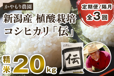 【令和7年産】【定期便3回隔月お届け】新潟産コシヒカリ「伝」白米真空パック 精米20kg（5kg×4）《9月下旬〜順次出荷》