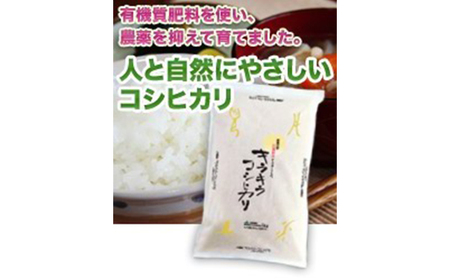 特別栽培米キラキラコシヒカリ 5kg お米 