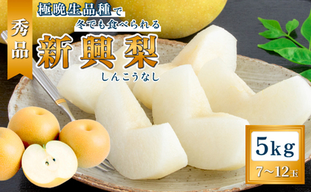 日本なし 新興（5kg秀品7～12玉） 梨 なし ナシ 大玉 フルーツ 果物 5kg 7玉 8玉 9玉 10玉 12玉産地直送 新潟市産 新潟 