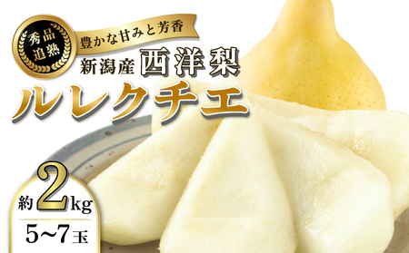 洋梨 ルレクチエ 西洋なし 約 2kg 秀品 5～7玉 梨 ルクレチェ 西洋梨 洋なし 洋ナシ 梨 なし ナシ フルーツ 果物 5玉 6玉 7玉 産地直送 新潟市産 新潟 