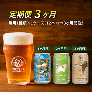 【定期便3ヶ月】エチゴビール【1ヶ月目】FLYING IPA350ml缶×12本【2ヶ月目】のんびりふんわり白ビール350ml缶×12本【3ヶ月目】ピルスナー350ml缶×12本 ビール 全国第一号 クラフトビール 350ml 12本 酒 定期便 3回 お楽しみ 