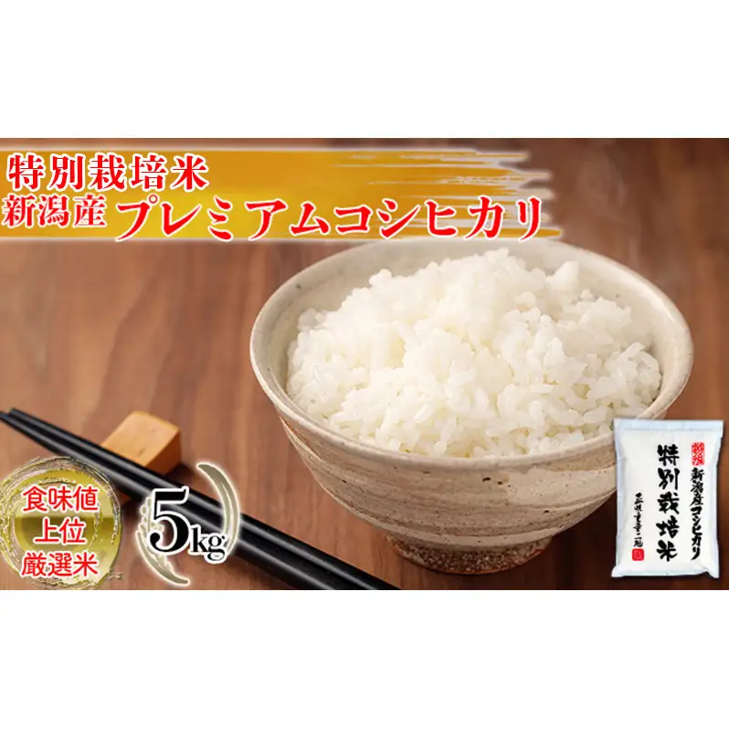 特別栽培米 新潟産コシヒカリ白米 5kg お米 こしひかり 