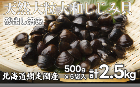 【先行予約】網走湖産 天然大粒 大和しじみ 2.5kg ※着日指定不可（2026年5月20日以降発送予定） ABX033