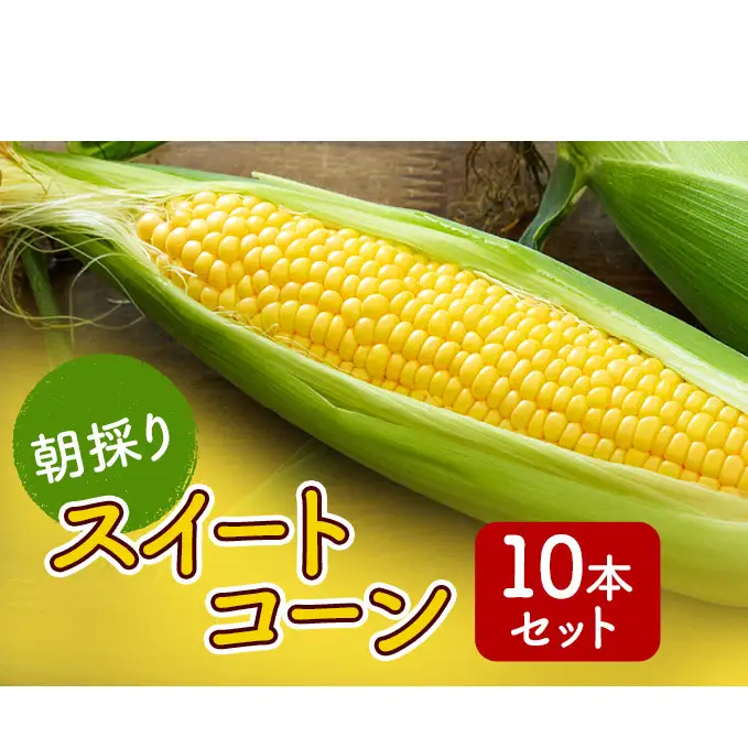 朝採りスイートコーン 10本セット 野菜 とうもろこし 