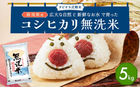 無洗米新潟産コシヒカリセット 5kg 産地直送