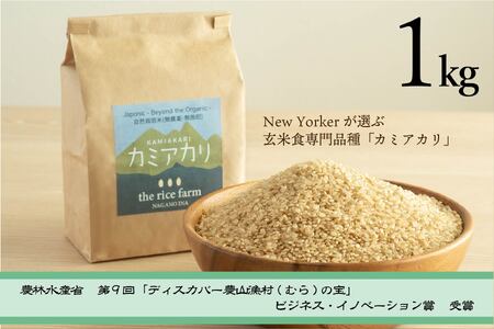 米 玄米 令和6年産 【幻の玄米】 自然栽培 カミアカリ 玄米 1kg  【009-08】