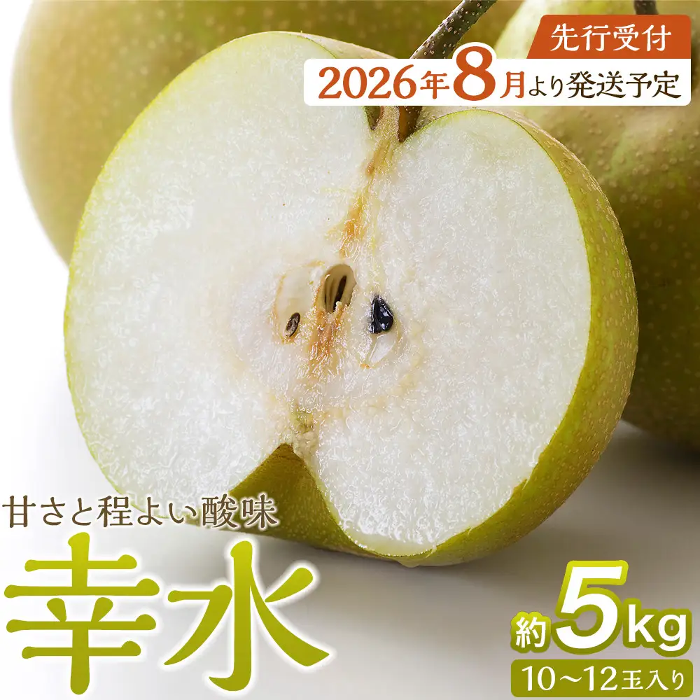 【2026年発送／先行予約】【松崎果樹園】梨「幸水」約5kg（10～12玉入） ｜ 旬のフルーツ、果物、梨、新鮮 角田