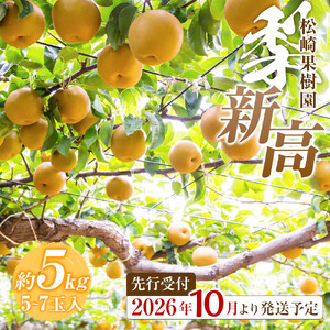 【2026年発送／先行予約】梨 「新高」約5kg（5～7玉入）【松崎果樹園】 ｜ 梨 フルーツ 宮城県角田市