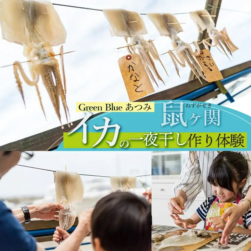 Green Blue あつみ「鼠ヶ関　イカの一夜干し作り体験」