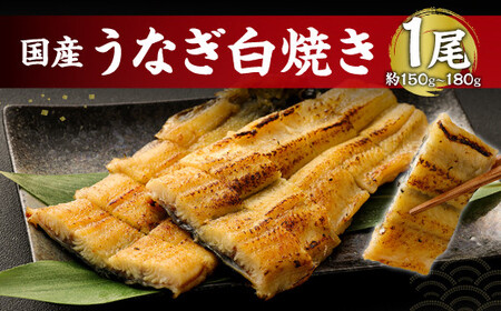 鹿児島産 うなぎ の 白焼き 1本 約150～180g 老舗130年の技 鰻