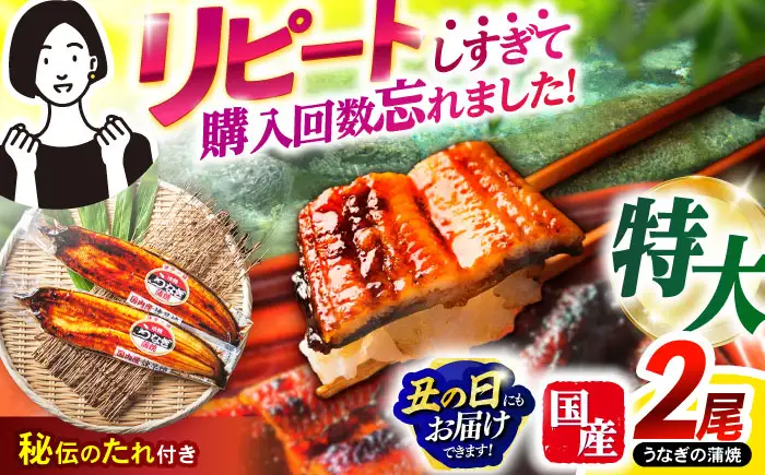 【お中元対応可】＜諫早淡水＞特大うなぎ蒲焼 2尾 / うなぎ ウナギ 鰻 特大 蒲焼き ウナギ蒲焼 国産 冷凍 うな重 うな丼 ウナギ ひつまぶし / 諫早市 / 諫早淡水株式会社 [AHAT014] 丑の日 土用丑の日