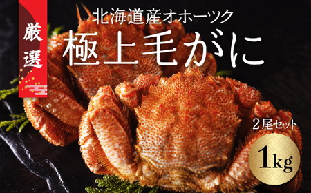北海道産オホーツク極上毛がに（冷凍） 2尾セット（合計約1kg） 【 ふるさと納税 人気 おすすめ ランキング 毛がに 毛ガニ カニ かに 極上 かに味噌 おいしい 北海道 網走市 送料無料 】 ABC002