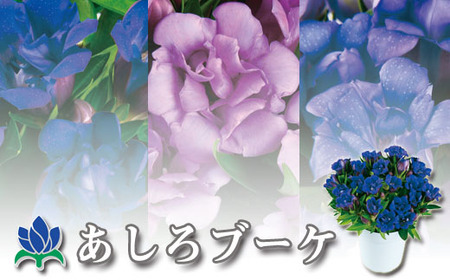 【早期予約承り中！2026年9月中旬発送開始予定！】 リンドウ鉢物 「 あしろブーケ 」 4寸鉢×1 ※色はおまかせ （ 濃青、薄青、ピンク３色のいずれか1色 ） ／ りんどう 安代りんどう リンドウ 八重咲き お花 花 竜胆 龍胆 期間限定 季節限定 鉢花 岩手県産 八幡平市産 おすすめ 【安代リンドウ開発】