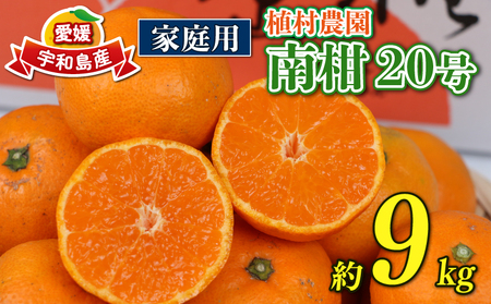 温州みかん南柑20号9kg家庭用植村農園温州みかん温州みかん温州みかん温州みかんB010-153004