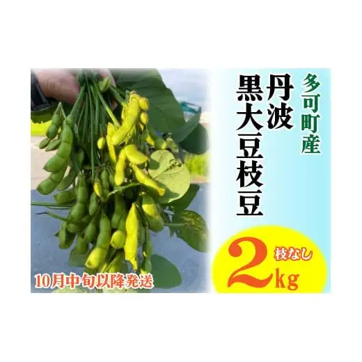 旬の味！丹波黒枝豆（枝なし）2kg [913]
