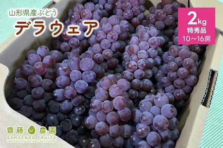 ぶどう（デラウェア）特秀品　0037-2603